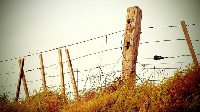 2026世界杯亚洲区预选赛深度报道，中国队关键战全程追踪与战术分析