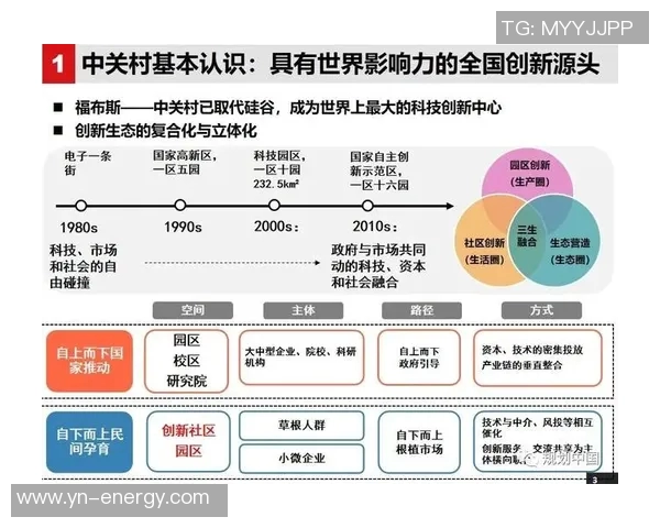 印度与马来西亚的较量：文化碰撞与经济合作的双重视角